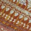 geel/multicolour-562033