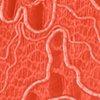 Orange-600785