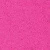 Fuchsia-601771