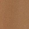 camel-602841