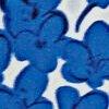 bleuet/blanc-603671