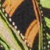 Multicolor-603796