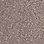 Taupe-608961