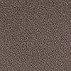 Taupe-636202