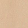 Beige-656184