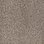 Taupe-662059