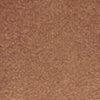 Camel-700238