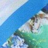 Royalblau/Multicolor-700316