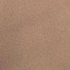 Taupe-700413