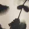 Beige/Schwarz-702174