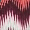 corail/multicolore-702190