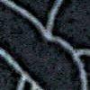 Schwarz-702870