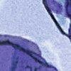 Amethyst/Multicolor-702980