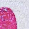 Weiß/Multicolor-744576