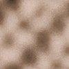 taupe chiné-800539