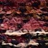 Multicolor-800832