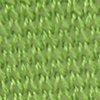 Kiwi-801265