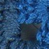 Blau/Nachtblau-801981
