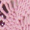 Rosé Sorbet-802524