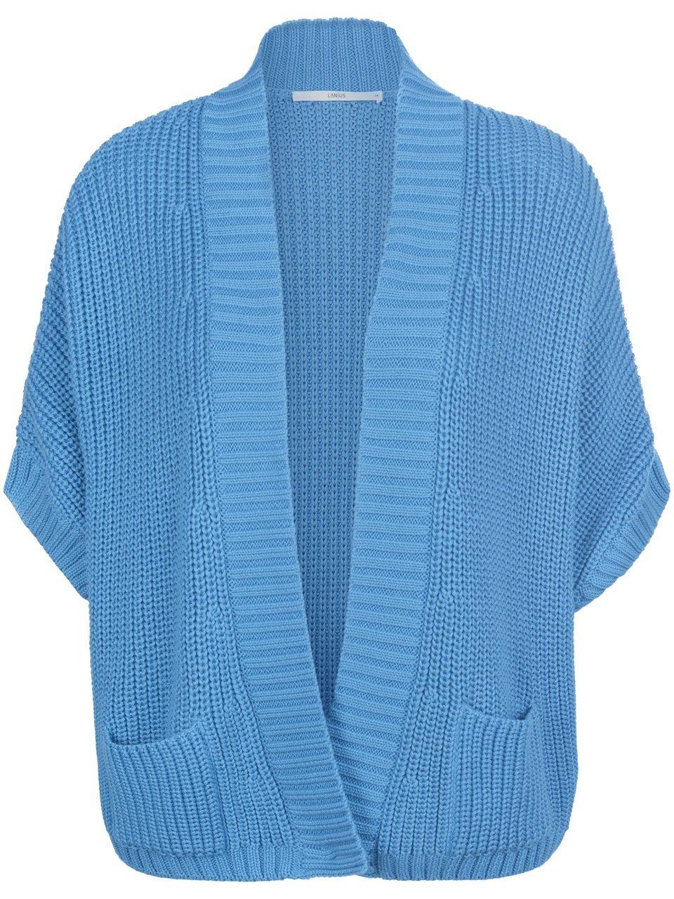 Vest Van Lanius blauw