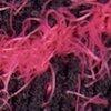 Schwarz/Pink-804209