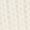 wolwit/multicolour-804357