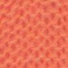 Orange-804379