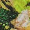 kiwi/multicolore-805933