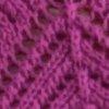Fuchsia-806274