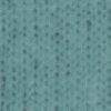 Salbei-806709