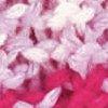 Pink/Rosé/Multicolor-806867