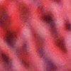Pink/Multicolor-818732