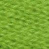 Kiwi-876300