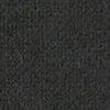 Schwarz-980179