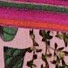 Multicolor-980283